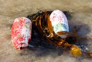Floats seen on Bosta Beach - western isles