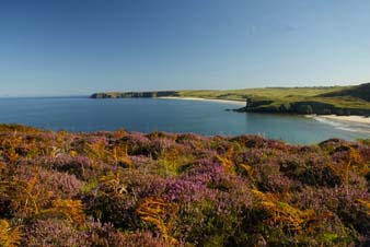 Heather, Garry Beach and Traigh Mhor Beaches